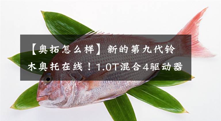 【奥拓怎么样】新的第九代铃木奥托在线！1.0T混合4驱动器少于40，000个，燃料消耗少于4L文章配图