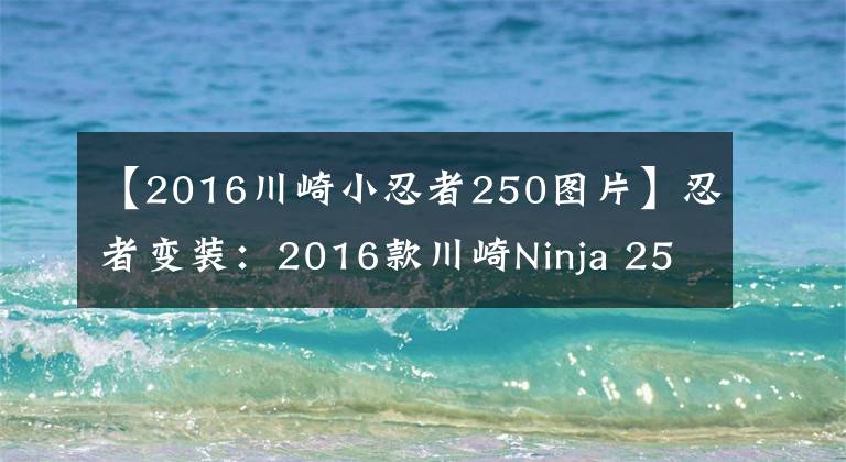【2016川崎小忍者250图片】忍者变装：2016款川崎Ninja 250特别版国内上市