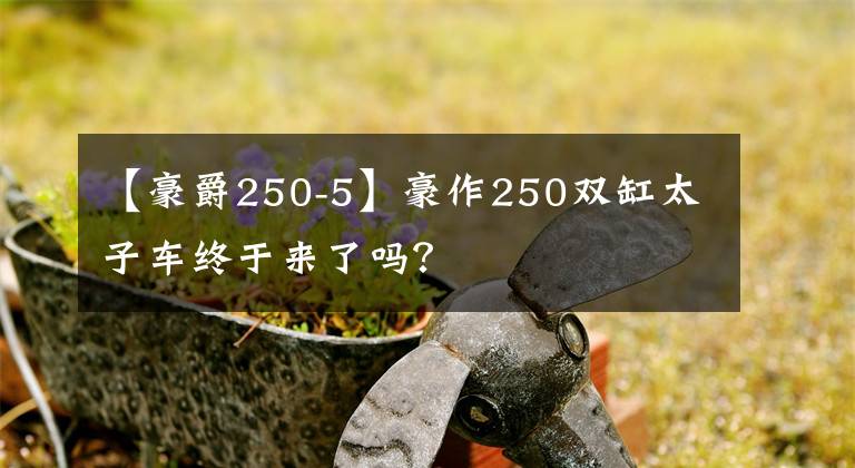 【豪爵250-5】豪作250双缸太子车终于来了吗？文章配图