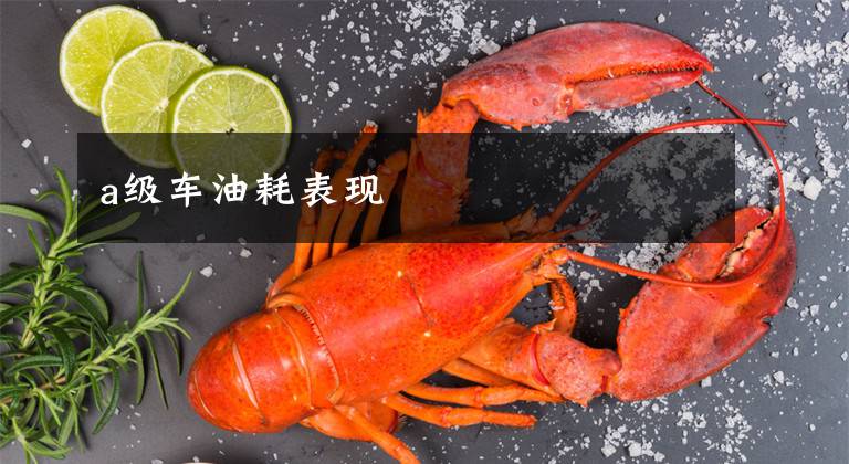 a级车油耗表现文章配图