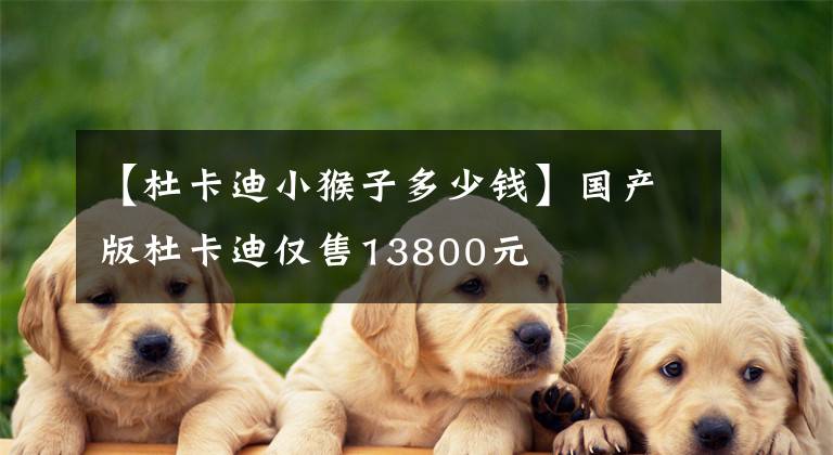 【杜卡迪小猴子多少钱】国产版杜卡迪仅售13800元