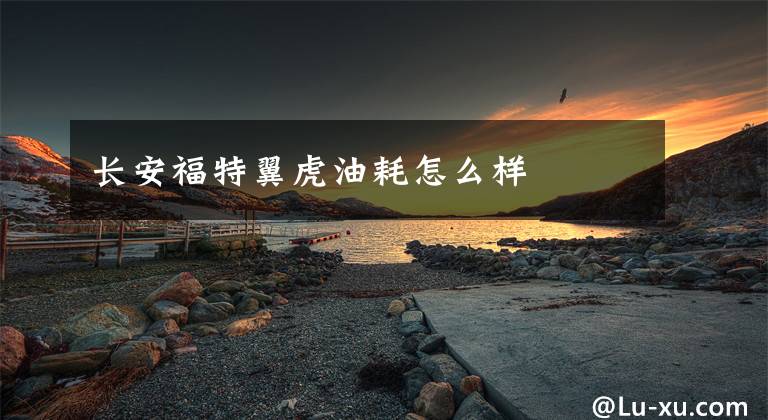 长安福特翼虎油耗怎么样文章配图