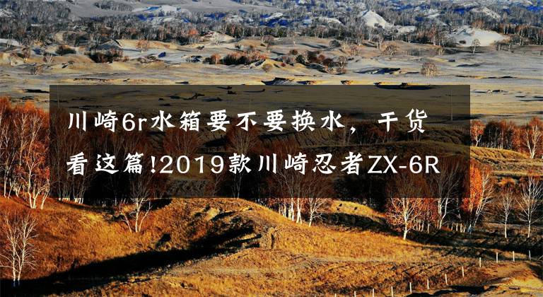 川崎6r水箱要不要换水，干货看这篇!2019款川崎忍者ZX-6R 试驾评测文章配图