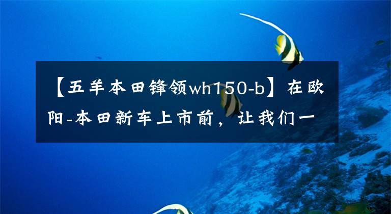 【五羊本田锋领wh150-b】在欧阳-本田新车上市前，让我们一起看看在过去的25年里欧阳-本田制造了什么样的车！