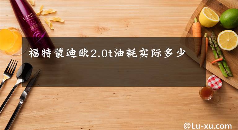 福特蒙迪欧2.0t油耗实际多少文章配图