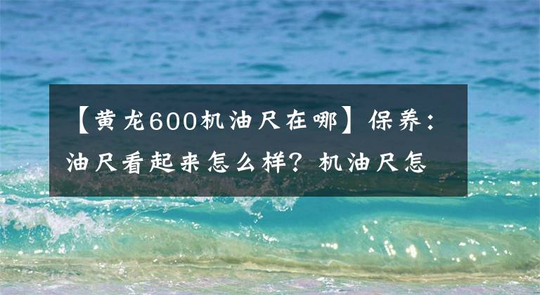 【黄龙600机油尺在哪】保养：油尺看起来怎么样？机油尺怎么放？文章配图