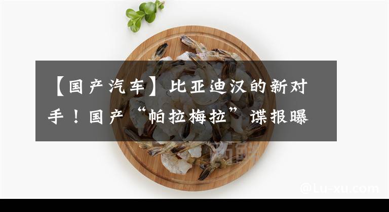 【国产汽车】比亚迪汉的新对手！国产“帕拉梅拉”谍报曝光，卖了30万能火吗？文章配图