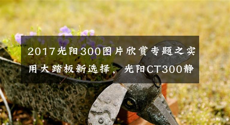 2017光阳300图片欣赏专题之实用大踏板新选择，光阳CT300静态解析