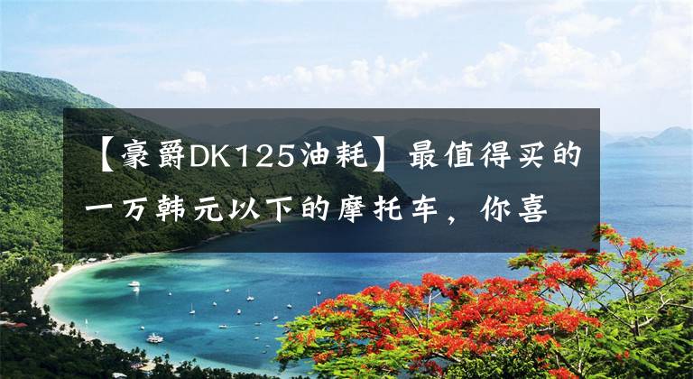 【豪爵DK125油耗】最值得买的一万韩元以下的摩托车，你喜欢哪个？文章配图