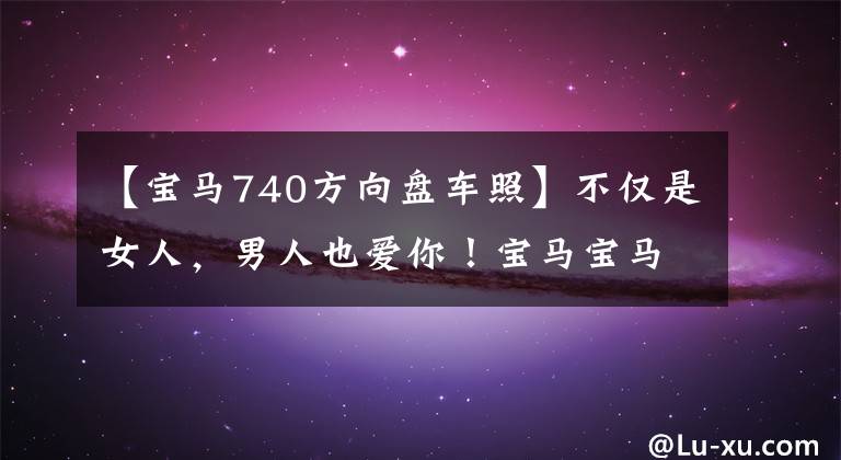 【宝马740方向盘车照】不仅是女人，男人也爱你！宝马宝马740Li评价文章配图