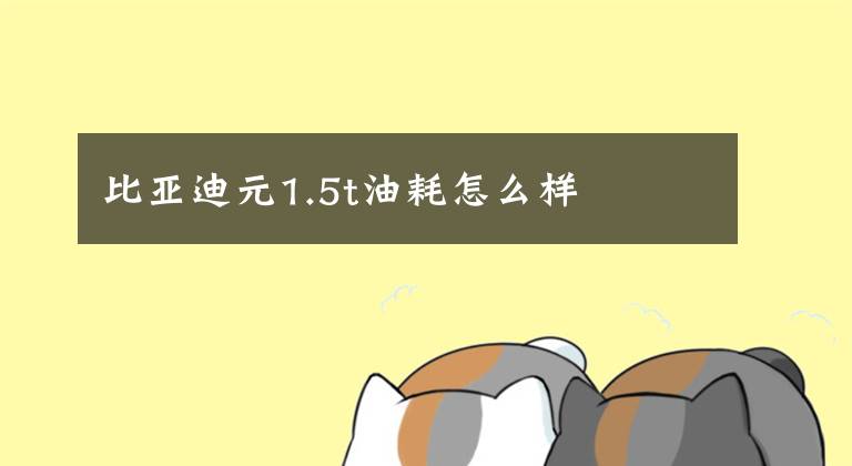 比亚迪元1.5t油耗怎么样