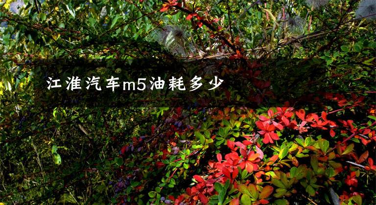 江淮汽车m5油耗多少文章配图