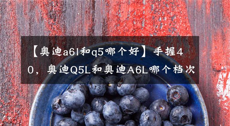 【奥迪a6l和q5哪个好】手握40，奥迪Q5L和奥迪A6L哪个档次高？内行人：一对比很明显