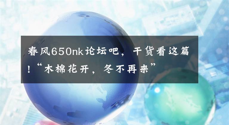 春风650nk论坛吧，干货看这篇!“木棉花开，冬不再来”