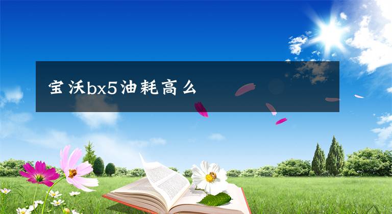 宝沃bx5油耗高么