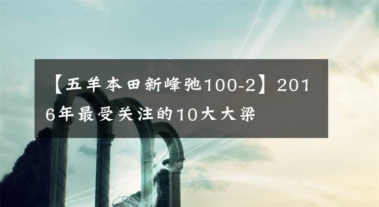 【五羊本田新峰弛100-2】2016年最受关注的10大大梁文章配图