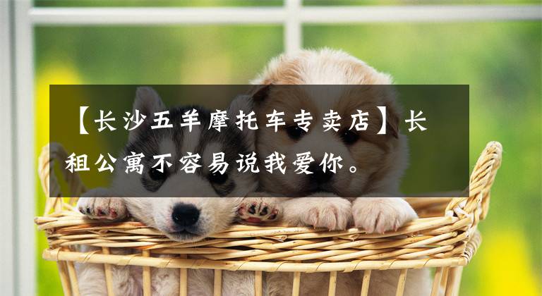 【长沙五羊摩托车专卖店】长租公寓不容易说我爱你。文章配图