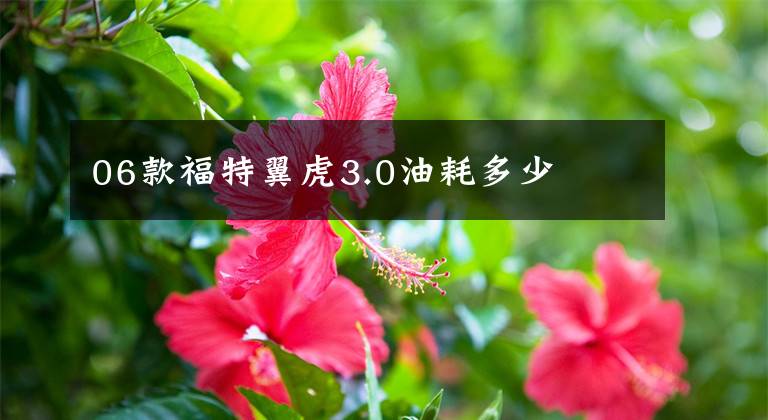 06款福特翼虎3.0油耗多少文章配图