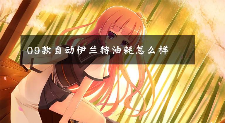 09款自动伊兰特油耗怎么样文章配图