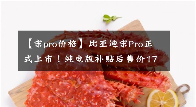 【宋pro价格】比亚迪宋Pro正式上市！纯电版补贴后售价17.98万起，续航502km文章配图