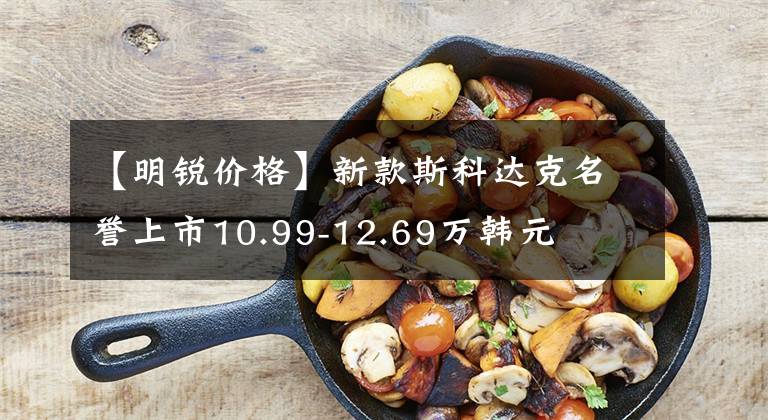 【明锐价格】新款斯科达克名誉上市10.99-12.69万韩元文章配图