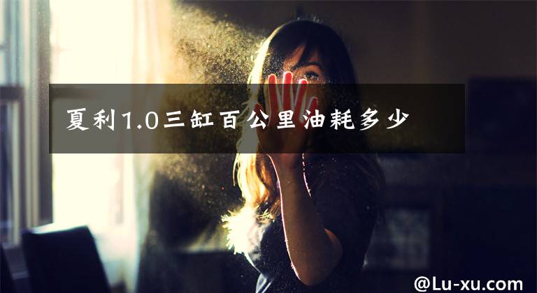 夏利1.0三缸百公里油耗多少文章配图