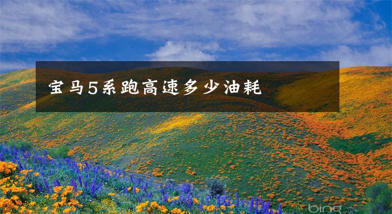 宝马5系跑高速多少油耗文章配图