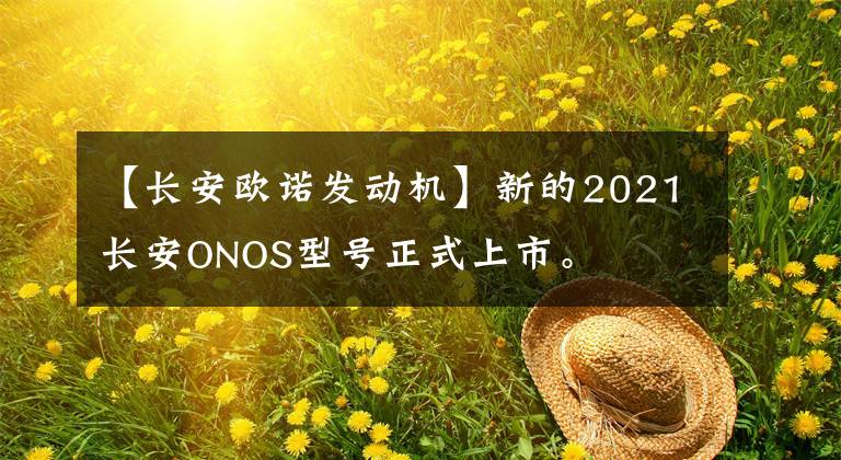 【长安欧诺发动机】新的2021长安ONOS型号正式上市。