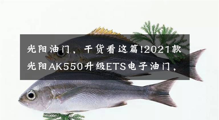 光阳油门，干货看这篇!2021款光阳AK550升级ETS电子油门，还是没有搭载TCS牵引力控制文章配图