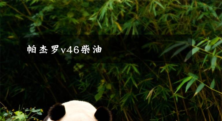 帕杰罗v46柴油文章配图