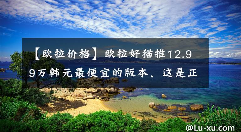 【欧拉价格】欧拉好猫推12.99万韩元最便宜的版本，这是正确的姿势吗？文章配图