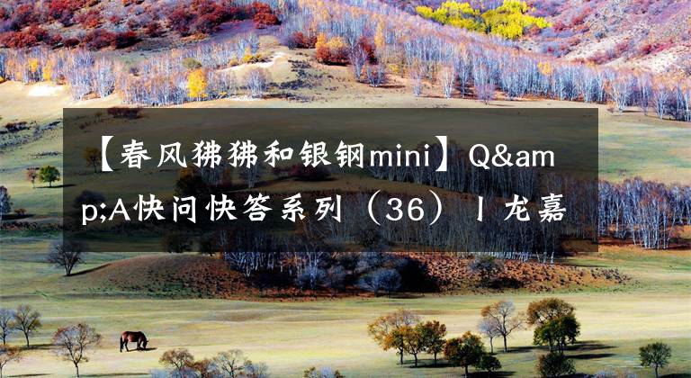 【春风狒狒和银钢mini】Q&A快问快答系列（36）丨龙嘉250和鑫源440应该怎么选？