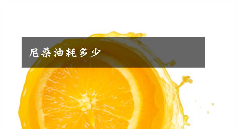 尼桑油耗多少文章配图