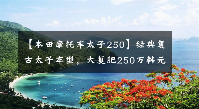 【本田摩托车太子250】经典复古太子车型，大复肥250万韩元内的链条机车