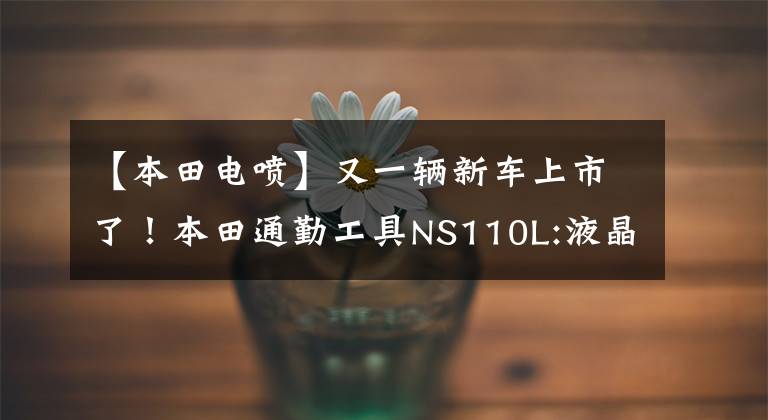 【本田电喷】又一辆新车上市了！本田通勤工具NS110L:液晶仪器、PGM EFI文章配图