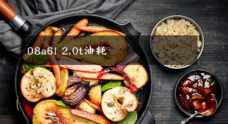 08a6l 2.0t油耗文章配图