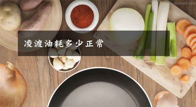凌渡油耗多少正常文章配图
