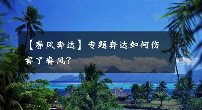 【春风奔达】专题奔达如何伤害了春风？文章配图