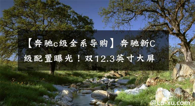 【奔驰c级全系导购】奔驰新C级配置曝光！双12.3英寸大屏幕换，9月份上市，看3系吗？文章配图