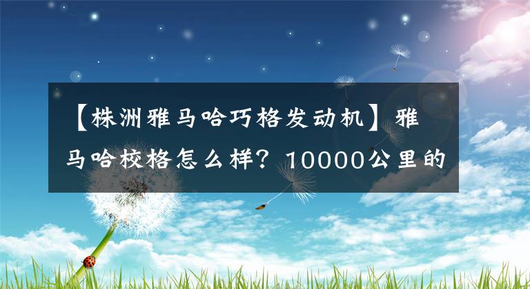 【株洲雅马哈巧格发动机】雅马哈校格怎么样？10000公里的车主告诉我。文章配图