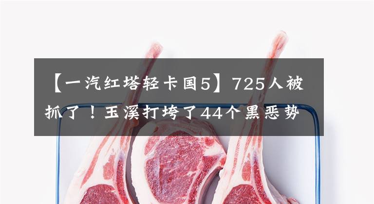 【一汽红塔轻卡国5】725人被抓了！玉溪打垮了44个黑恶势力犯罪集团