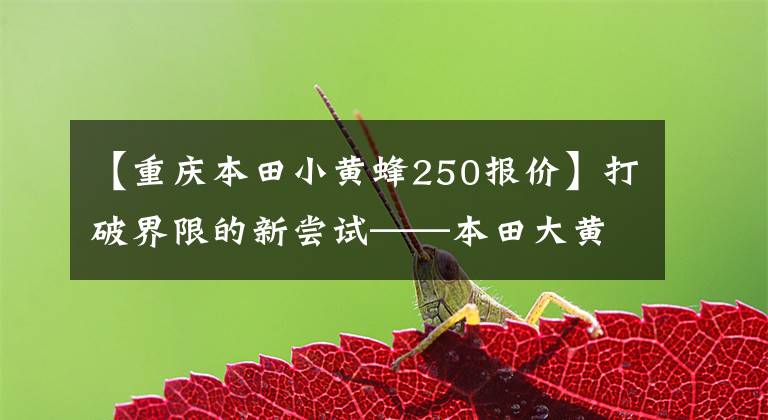 【重庆本田小黄蜂250报价】打破界限的新尝试——本田大黄蜂250