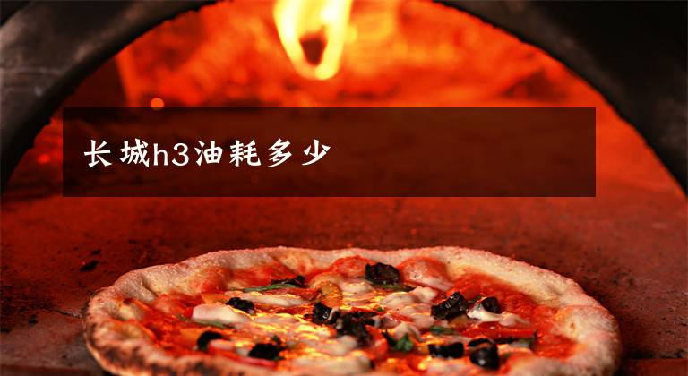 长城h3油耗多少文章配图