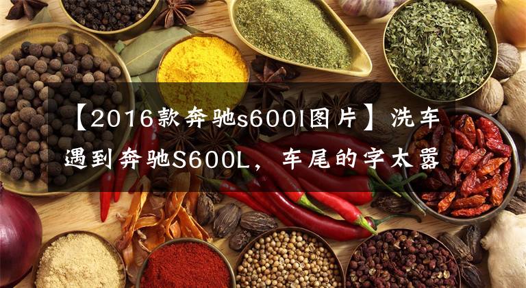 【2016款奔驰s600l图片】洗车遇到奔驰S600L，车尾的字太嚣张，“真想撞上去”