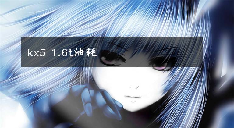 kx5 1.6t油耗文章配图