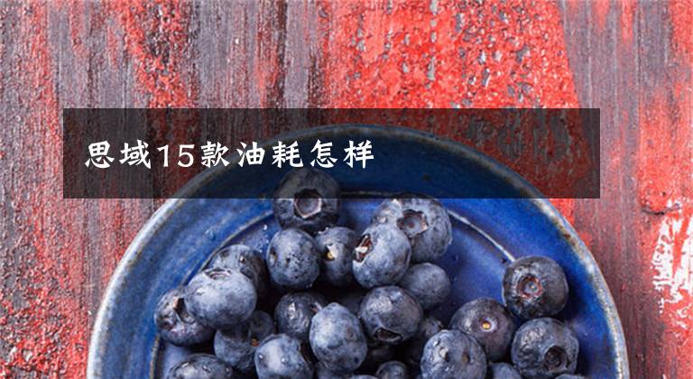 思域15款油耗怎样文章配图