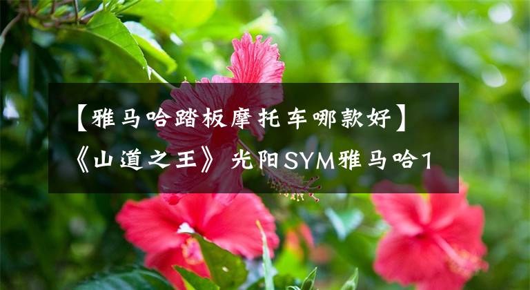 【雅马哈踏板摩托车哪款好】《山道之王》光阳SYM雅马哈125运动踏板比较文章配图