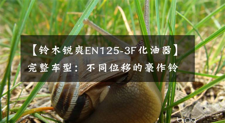 【铃木锐爽EN125-3F化油器】完整车型：不同位移的豪作铃木——锋利。文章配图