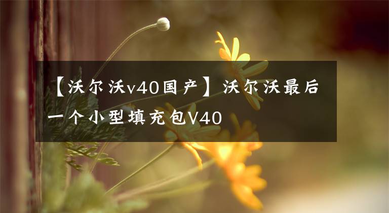 【沃尔沃v40国产】沃尔沃最后一个小型填充包V40文章配图