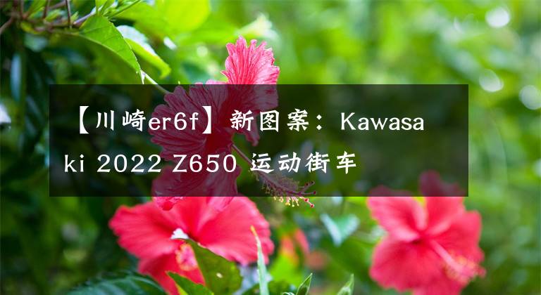 【川崎er6f】新图案：Kawasaki 2022 Z650 运动街车